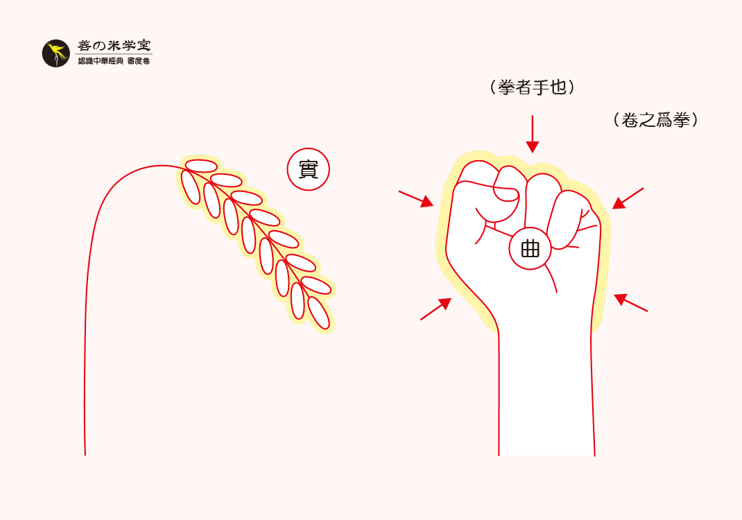 第04课 拳为实之曲｜审度之身篇-善米