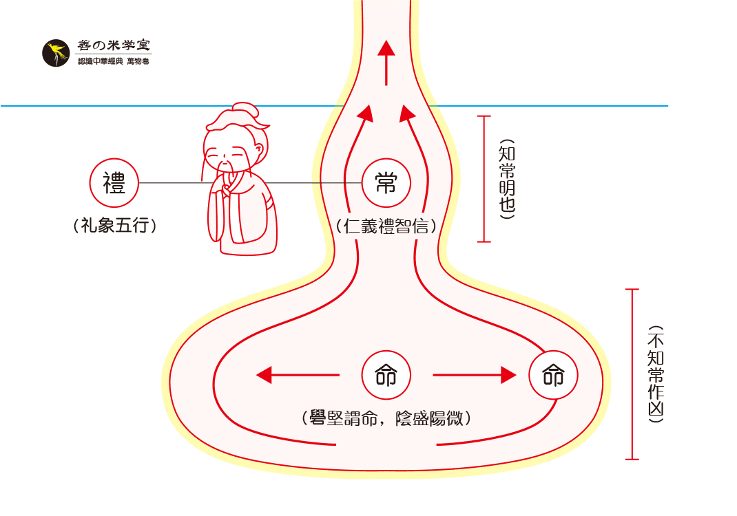 第05课 天物之复命｜万物之命篇-善米