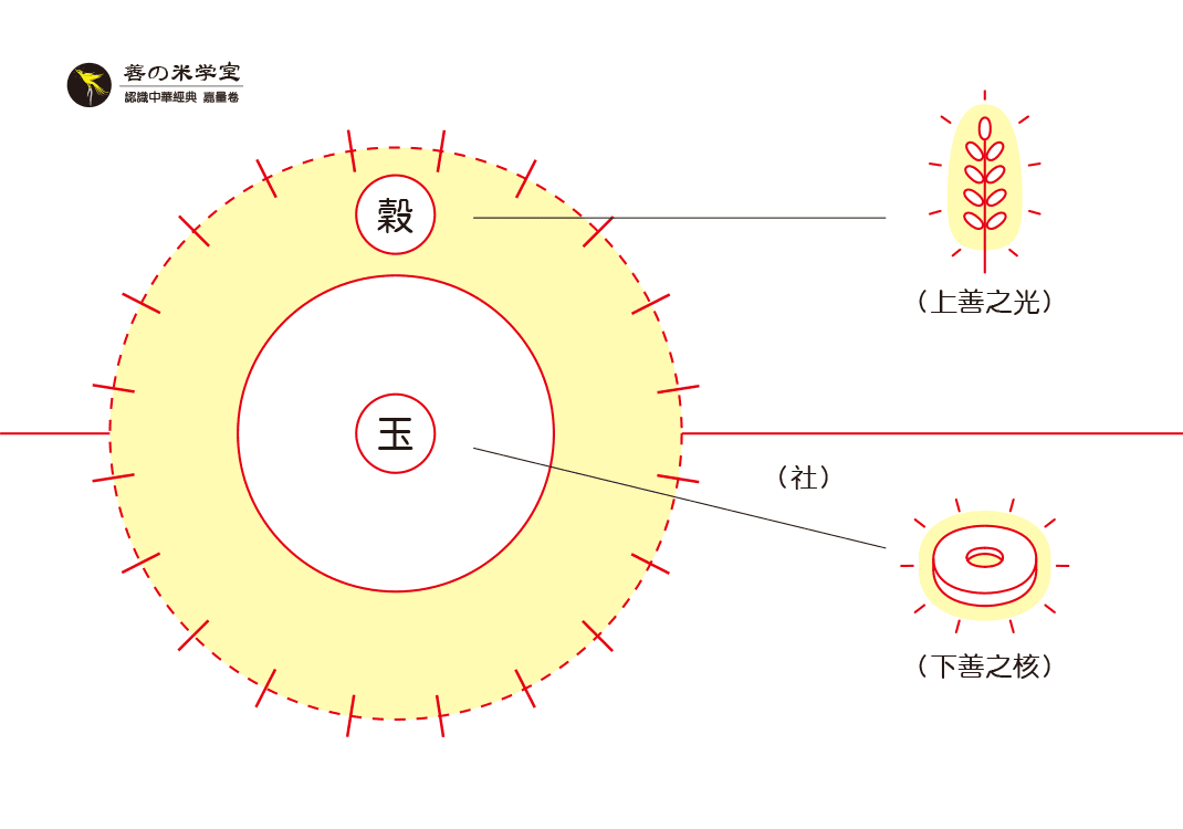 第05课 玉为下善之核｜天地之美篇-善米
