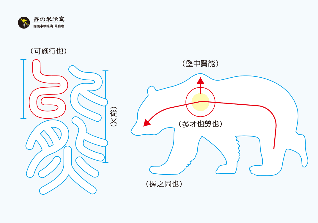 第05课 能坚中之熊｜禽兽之名 上篇-善米