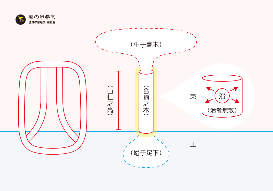 第05课：四为木之治｜数之已分篇-善米