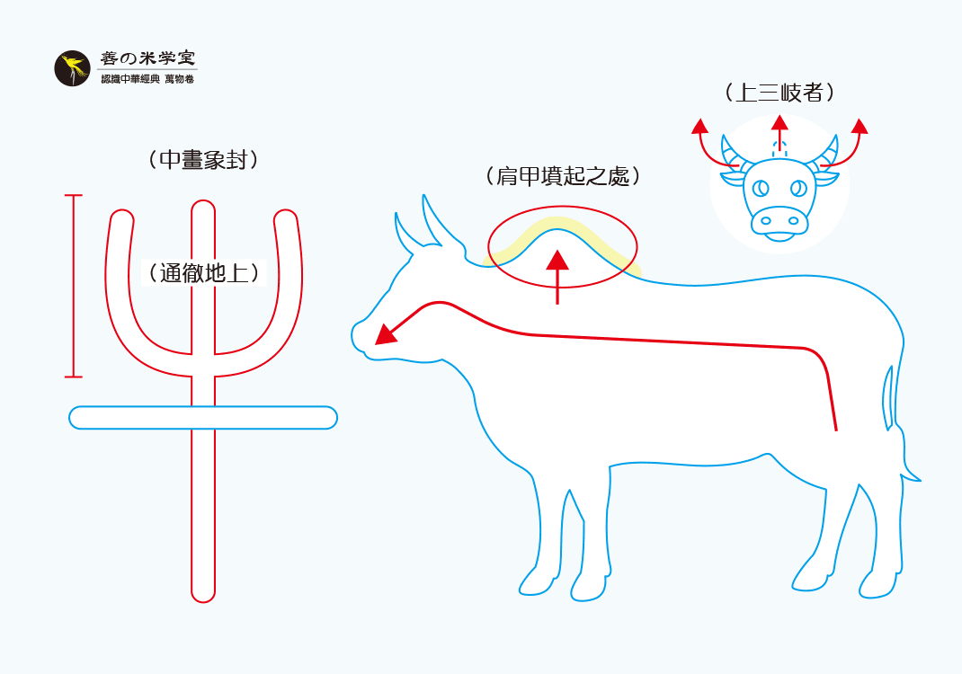 第06课 肩坟起之牛｜禽兽之名 中篇-善米