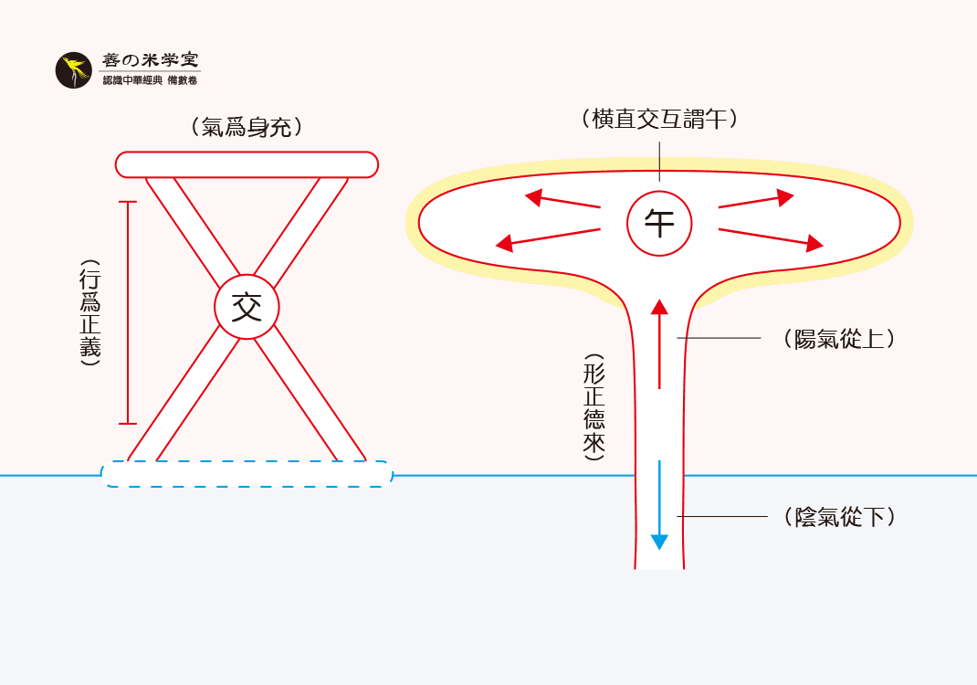 第06课：五为火之教｜数之已分篇-善米