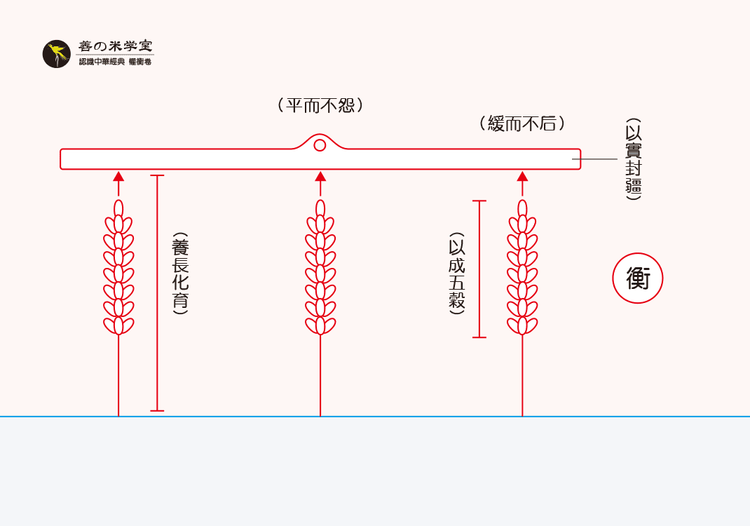第07课 夏平之衡度｜权重之度篇-善米
