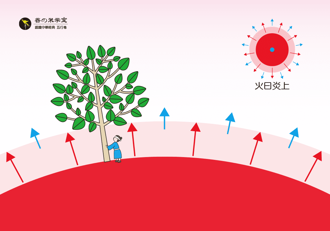 第08课 五行的形态2｜地道五行篇-善米