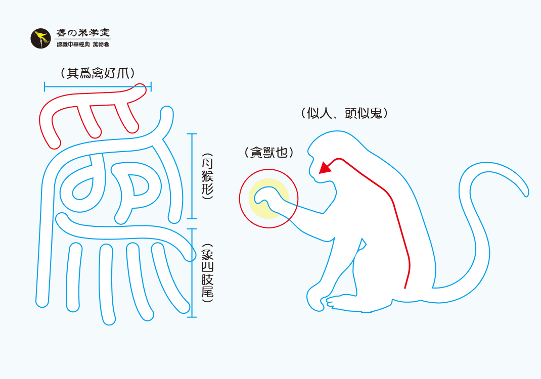 第08课 好用爪之为｜禽兽之名 中篇-善米