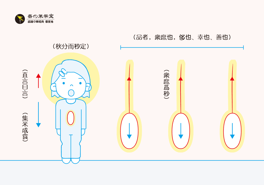 第08课 秋分之秒定｜审度之定篇-善米