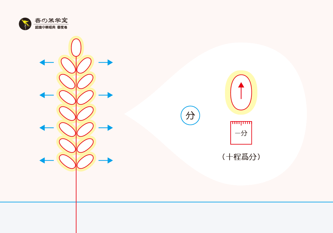 第09课 义别之分度｜审度之定篇-善米