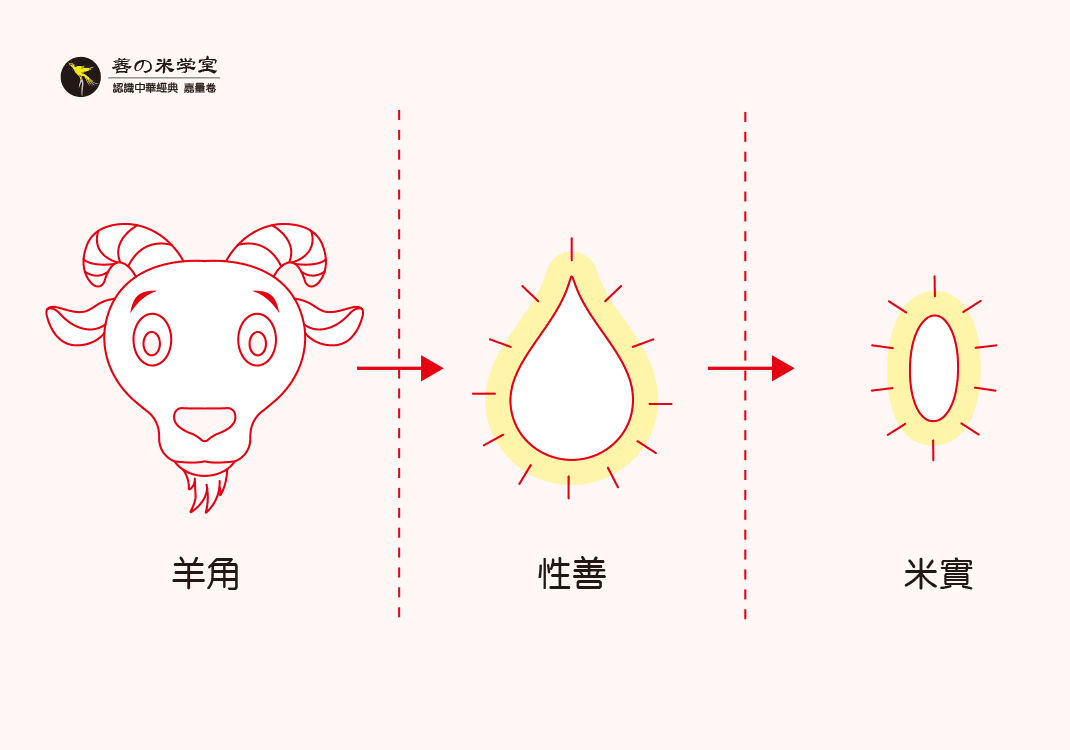 第09课 嘉量之善米｜万物之美篇-善米