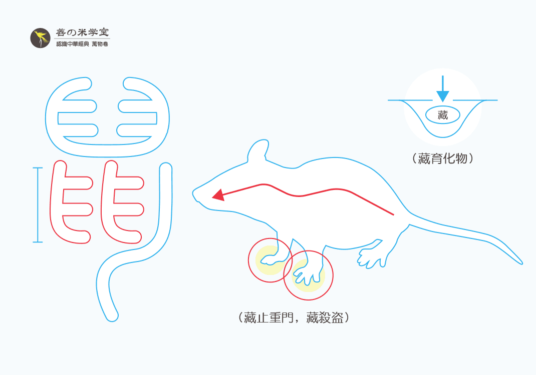 第09课 藏化盗之鼠｜禽兽之名 中篇-善米