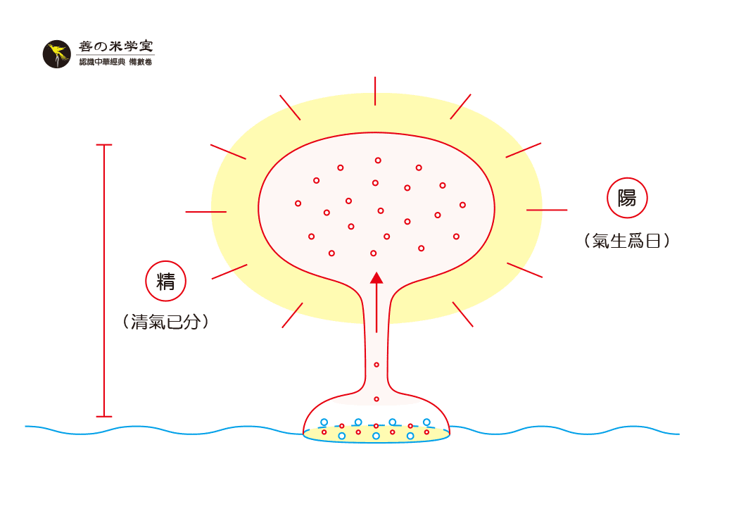 第09课：日为天之果｜太一已分篇-善米