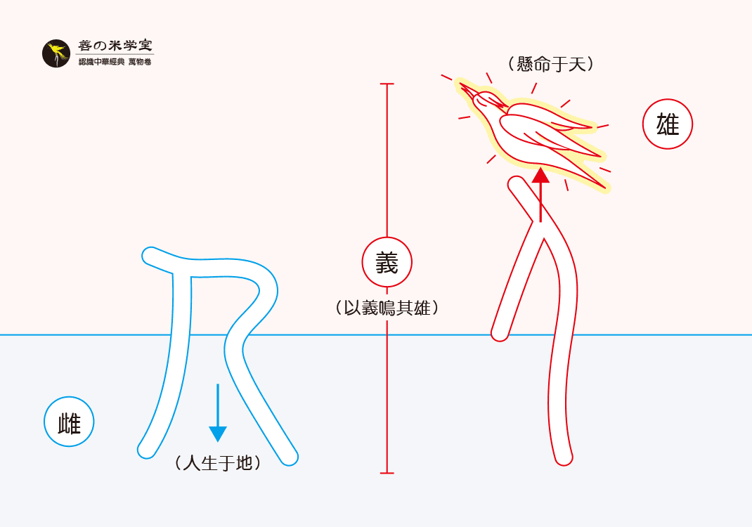 第10课 万物之所取 下｜万物所取篇-善米