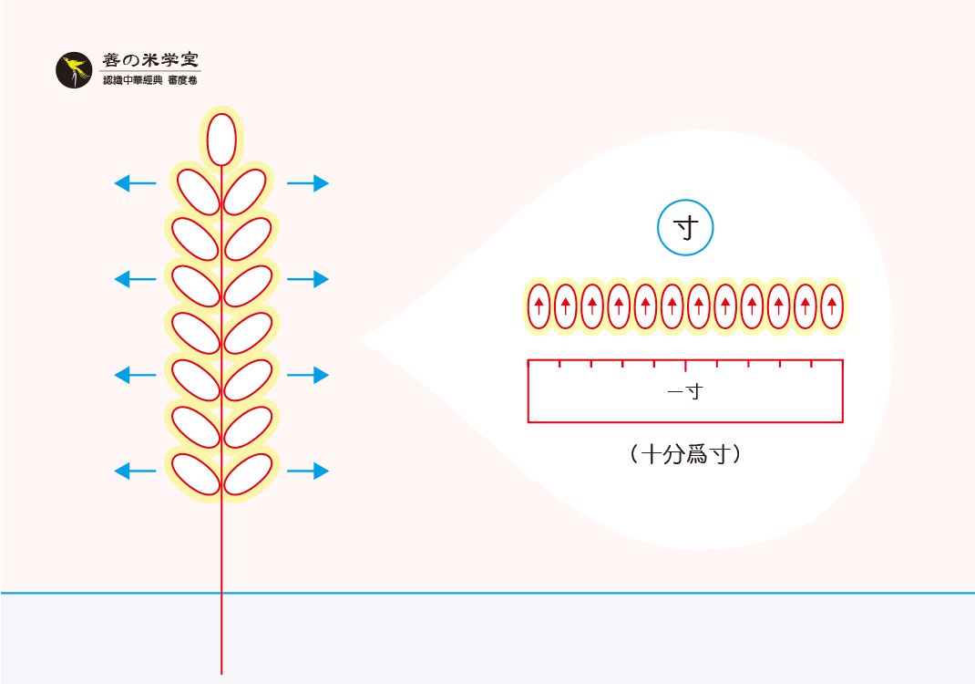 第10课 心忖之寸度｜审度之定篇-善米