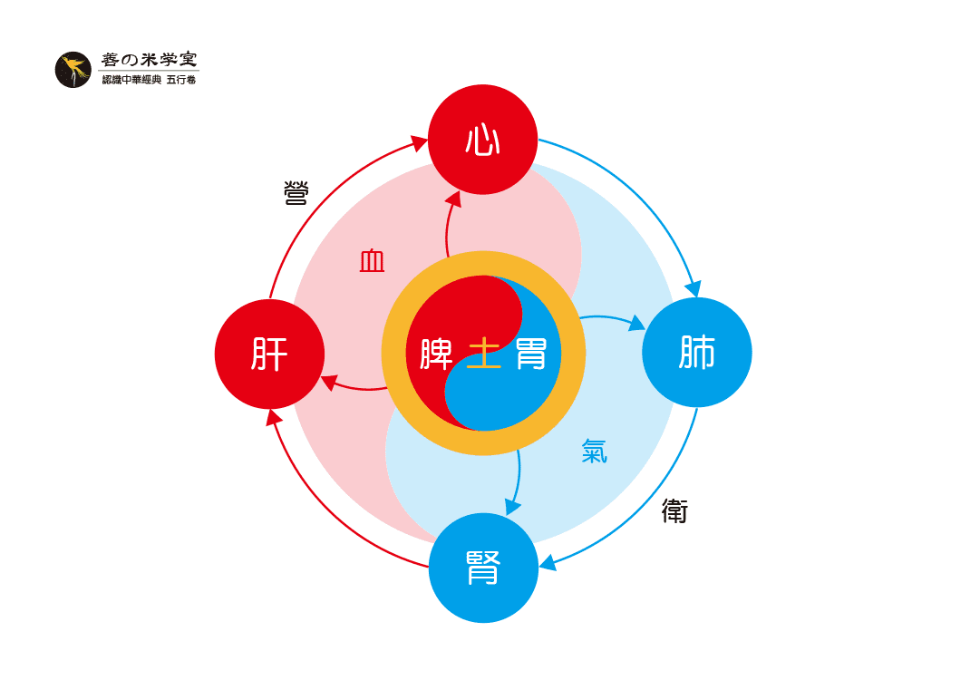 第10课 气血与营卫｜人道五行篇-善米