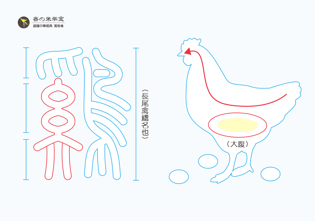 第10课 能伏卵之鸡｜禽兽之名 中篇-善米