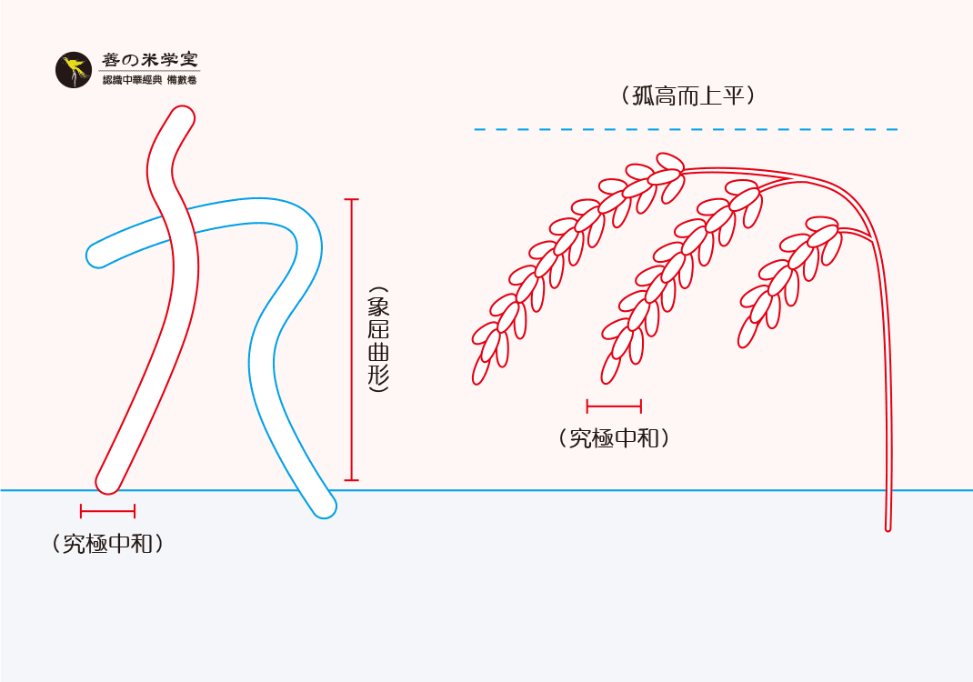 第10课：九为阳之终｜数之和合篇-善米