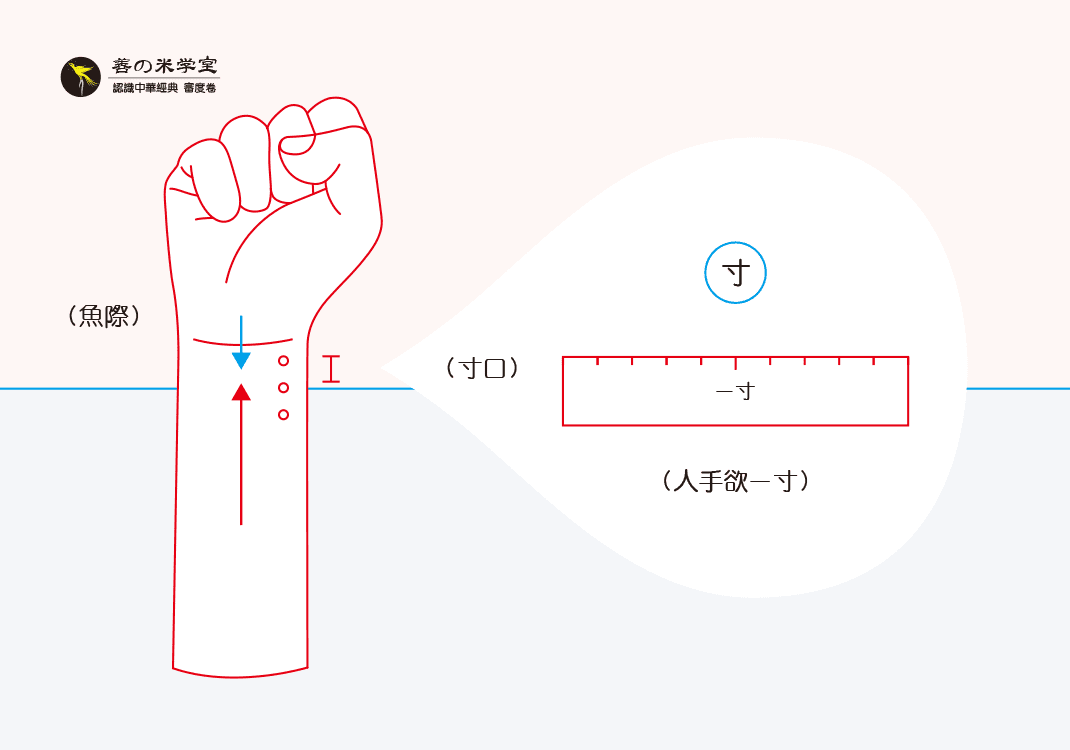 第11课 人欲之寸度｜审度之别篇-善米