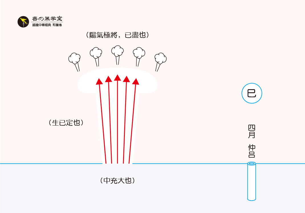 第11课 仲吕为巳之形｜律吕之形 上篇-善米