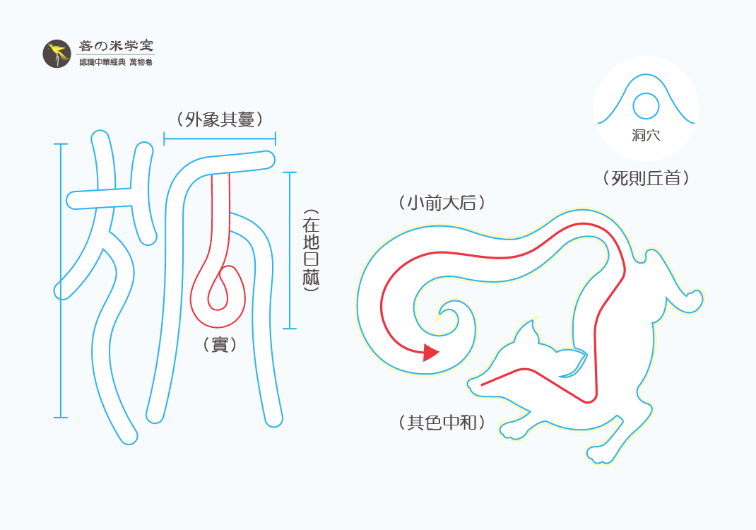 第11课 地反物之狐｜禽兽之名 下篇-善米