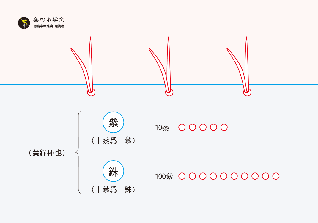 第11课 种子之权重｜权重之势篇-善米