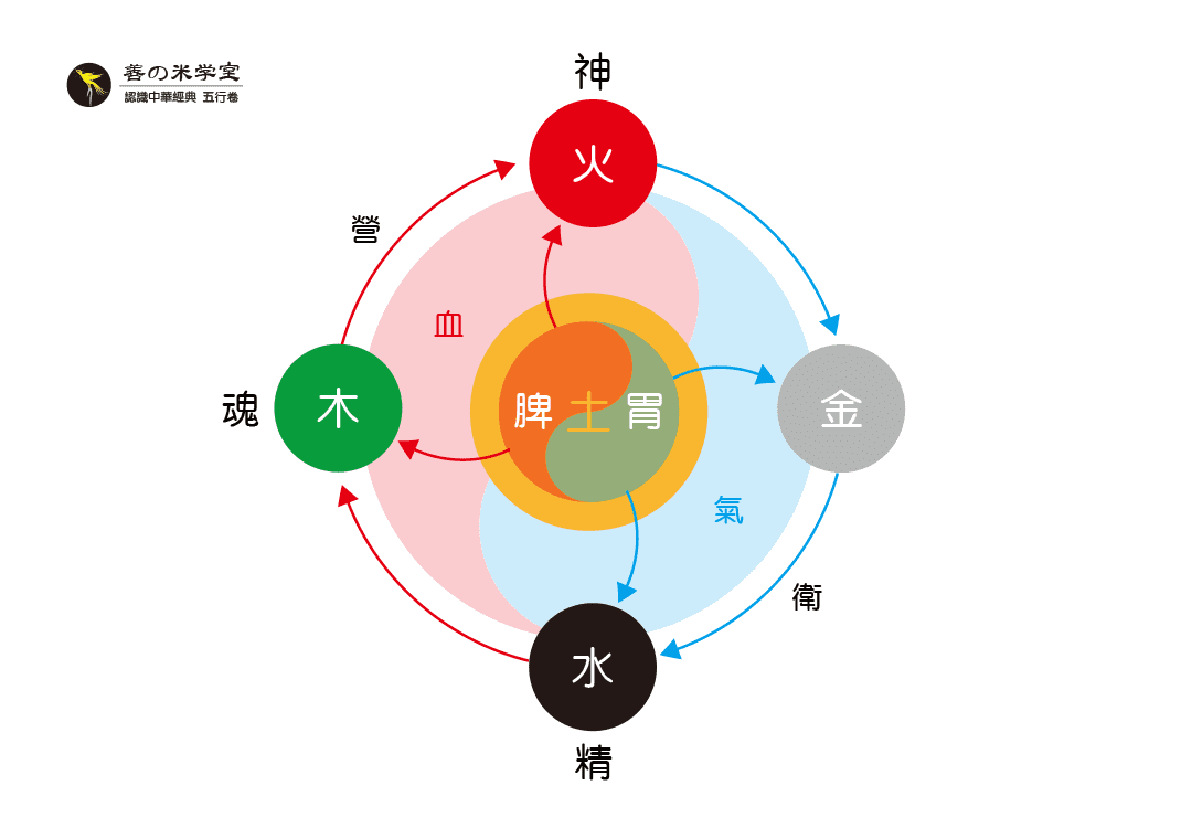 第11课 精神与魂魄｜人道五行篇-善米