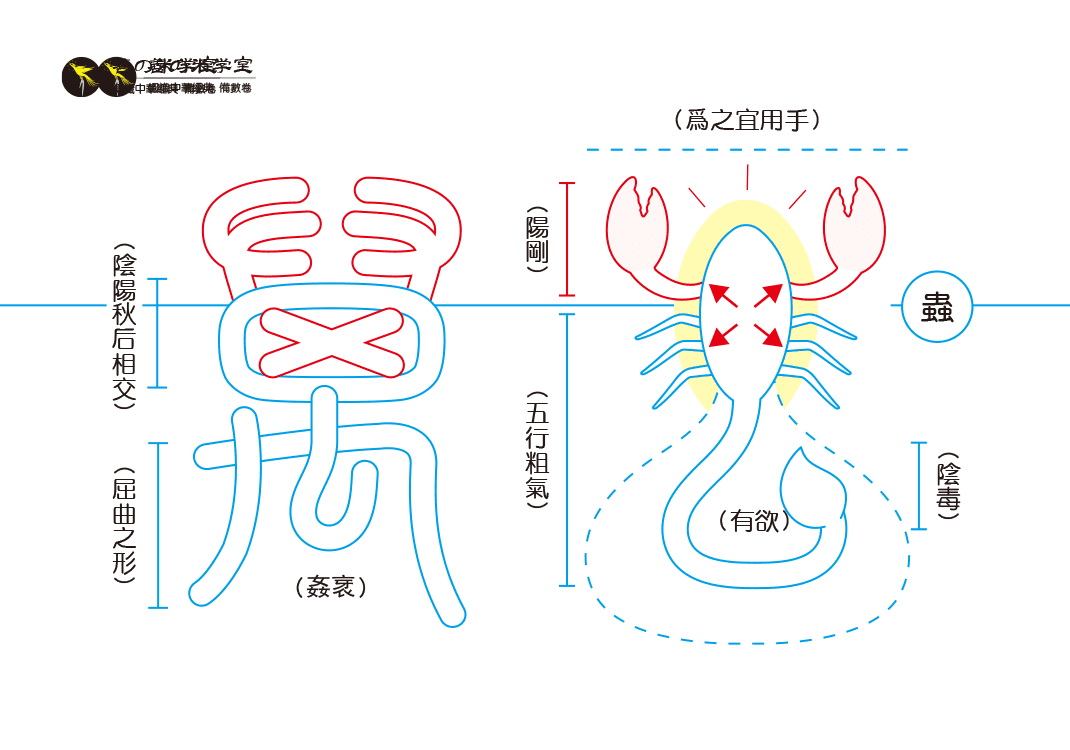 第11课：万为虫之粗气｜数之粗气篇-善米