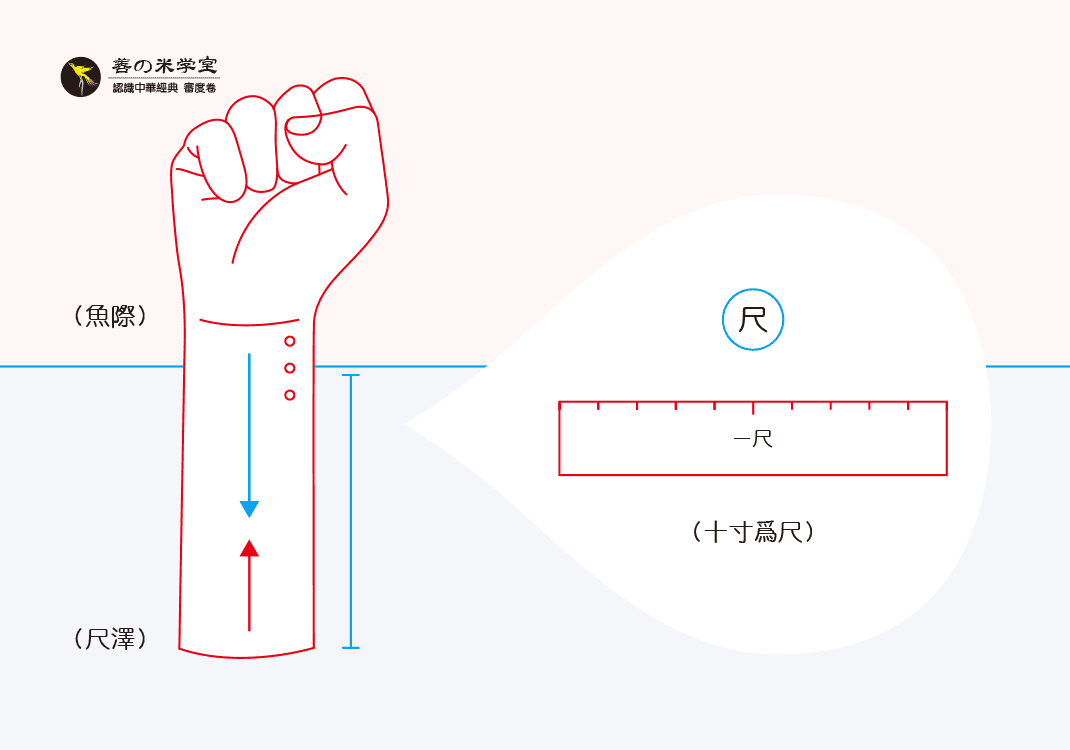第12课 承卺之尺度｜审度之别篇-善米