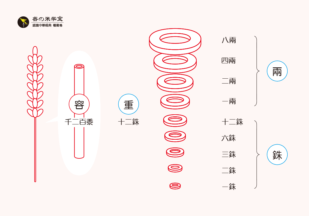第12课 根茎之权重｜权重之势篇-善米