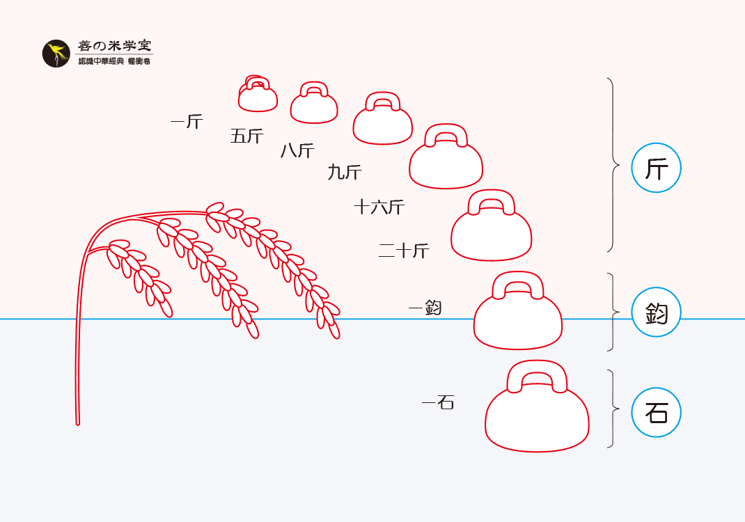 第13课 果实之权重｜权重之势篇-善米