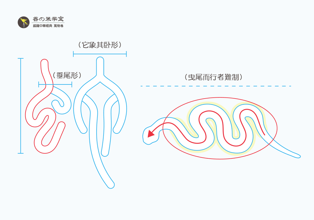 第13课 象冤曲之蛇｜禽兽之名 下篇-善米