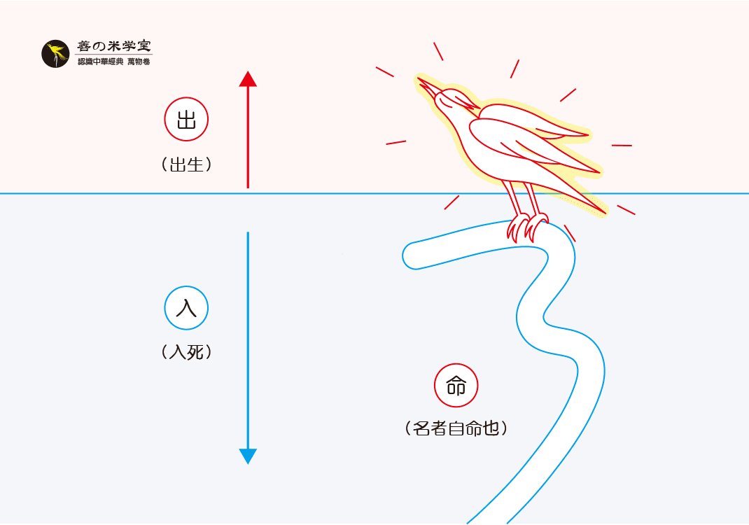 第14课 出生与入死｜万物深实篇-善米