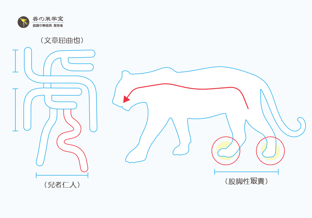 第14课 象人足之虎｜禽兽之名 下篇-善米