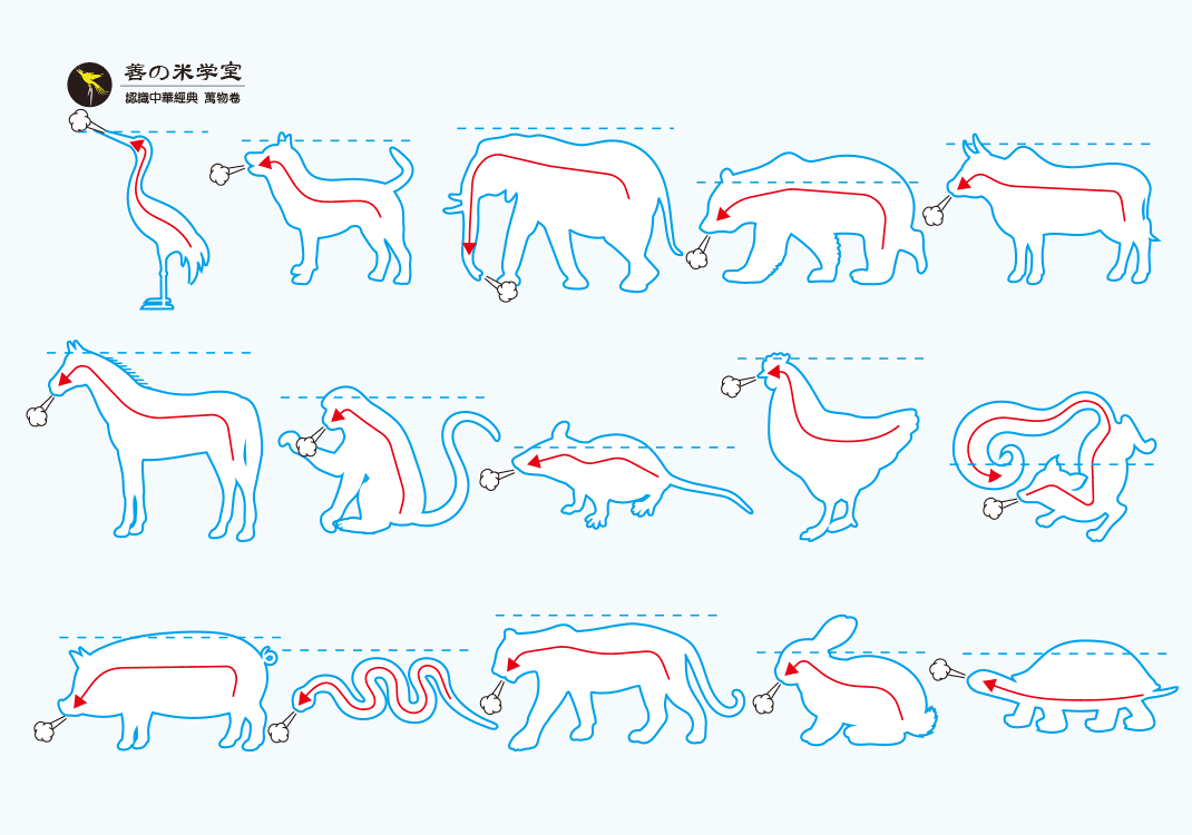 第15课 气舒与气难 下｜万物深实篇-善米