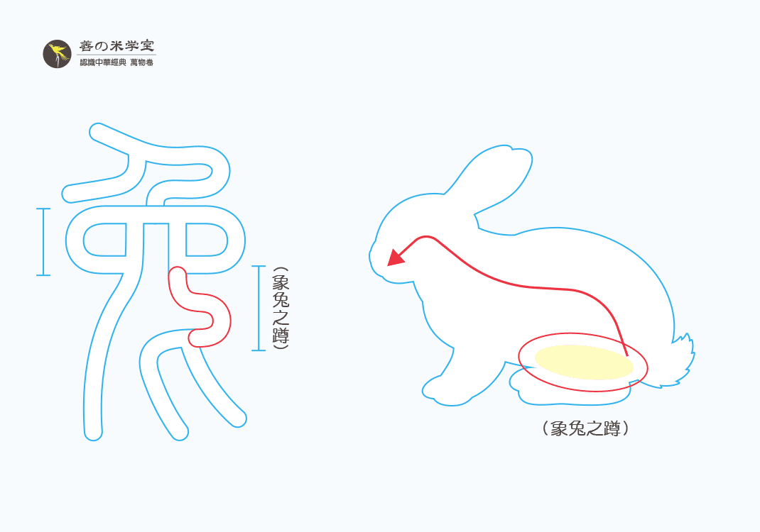 第15课 能蹲守之兔｜禽兽之名 下篇-善米