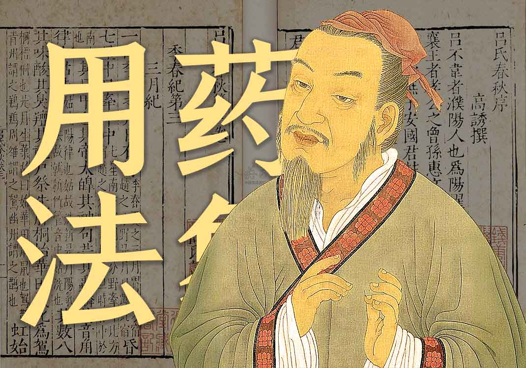 《用药法象》原文｜张元素-善米