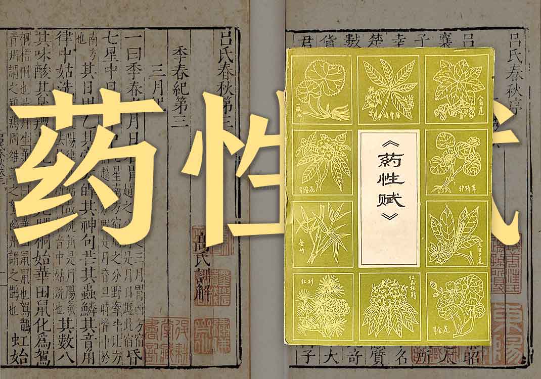 《药性赋》原文｜佚名-善米