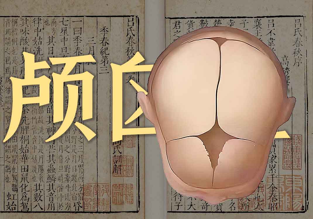 《颅囟经》原文｜卫汛-善米