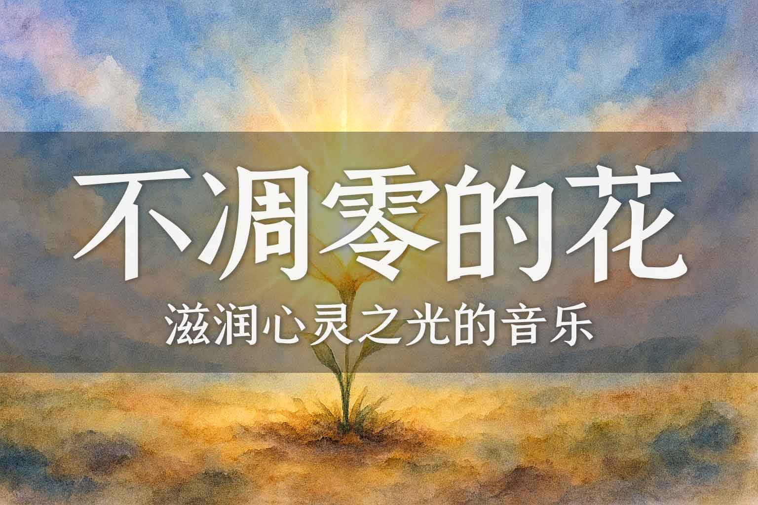 不凋零的花-善米