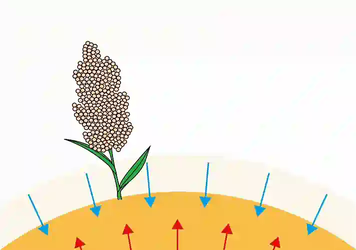 第08课 五行的形态3｜地道五行篇-善米