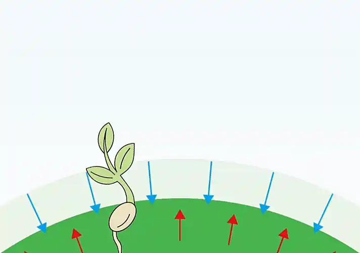 第08课 五行的形态1｜地道五行篇-善米