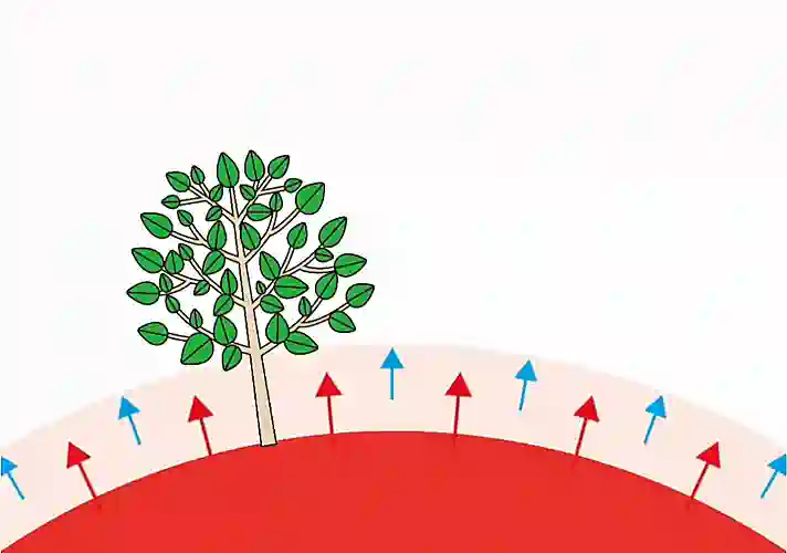 第08课 五行的形态2｜地道五行篇-善米