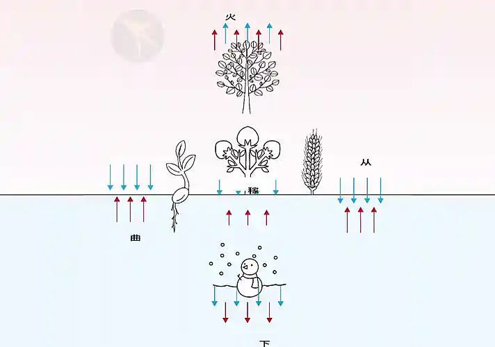 第07课 五行的本质｜地道五行篇-善米