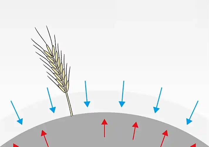 第08课 五行的形态4｜地道五行篇-善米