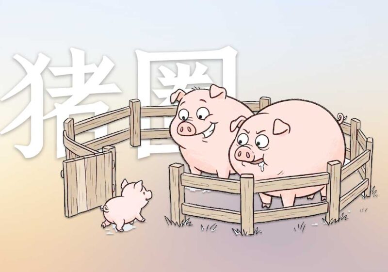 你为何永远停不下来|2026.7.21-善米